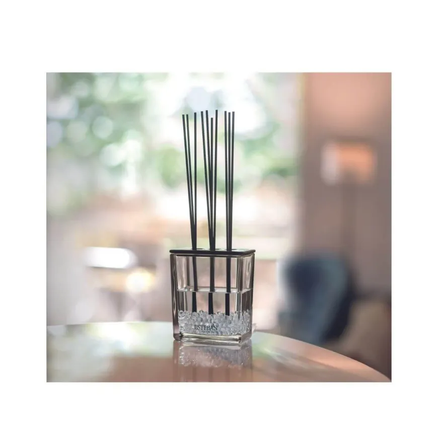 ESTEBAN PROFUMATORE CASA RCA-001 ROUGE CASSIS