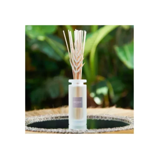 ESTEBAN PROFUMATORE CASA BCM-019 CITRONELLA E MENTA