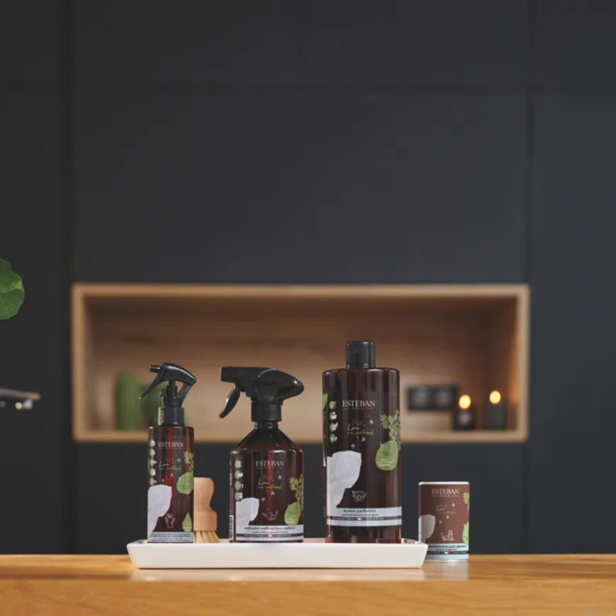 ESTEBAN SPRAY SUPERFICI LIN-037 PUR LINE