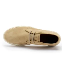 FRAU POLACCO 28D5 AVENA