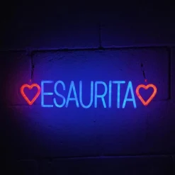 INSULTI LUMINOSI "ESAURITA"
