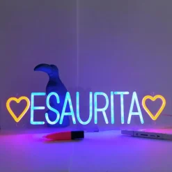 INSULTI LUMINOSI "ESAURITA"