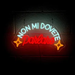 INSULTI LUMINOSI "NON MI DOVETE PARLARE"