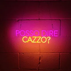 INSULTI LUMINOSI "POSSO DIRE CAZZO?"