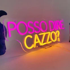 INSULTI LUMINOSI "POSSO DIRE CAZZO?"