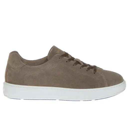 NERO GIARDINI E302891U-437 SNEAKER UOMO CAMOSCIO TAUPE